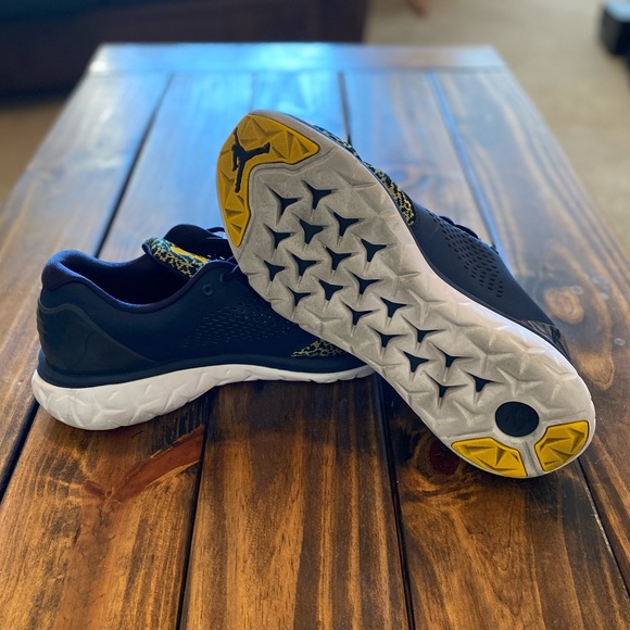 Jordan Trainer ST Michigan PE Promo Sz. 13 - Picture 5 of 9